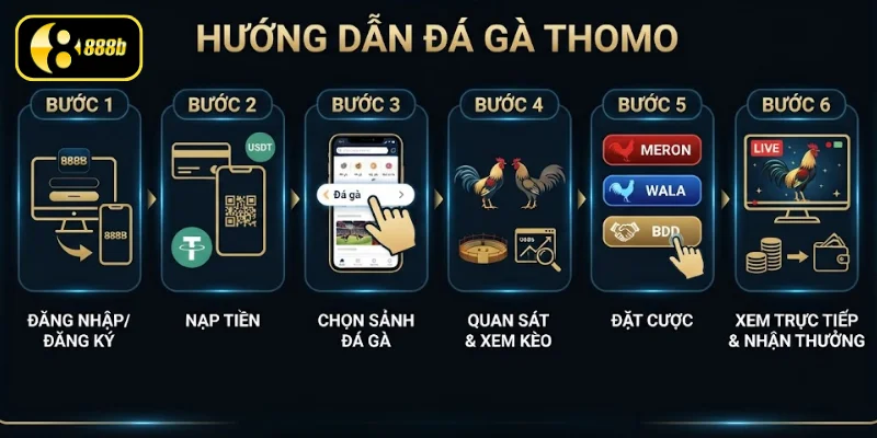 Các bước tham gia đá gà Thomo đầy đủ, dễ thực hiện