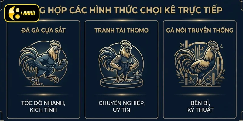 Các thể loại chọi kê trực tiếp được yêu thích