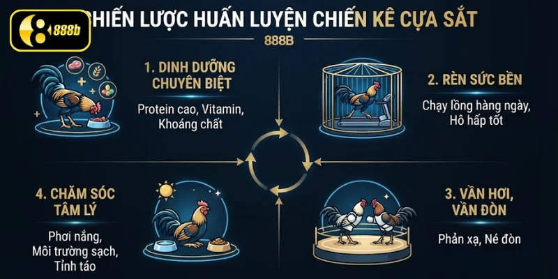 Chiến lược huấn luyện chiến kê cựa sắt đạt phong độ cao