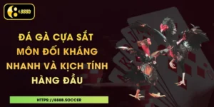 Đá Gà Cựa Sắt - Môn Đối Kháng Nhanh Và Kịch Tính Hàng Đầu