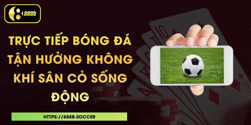 Trực Tiếp Bóng Đá - Tận Hưởng Không Khí Sân Cỏ Sống Động